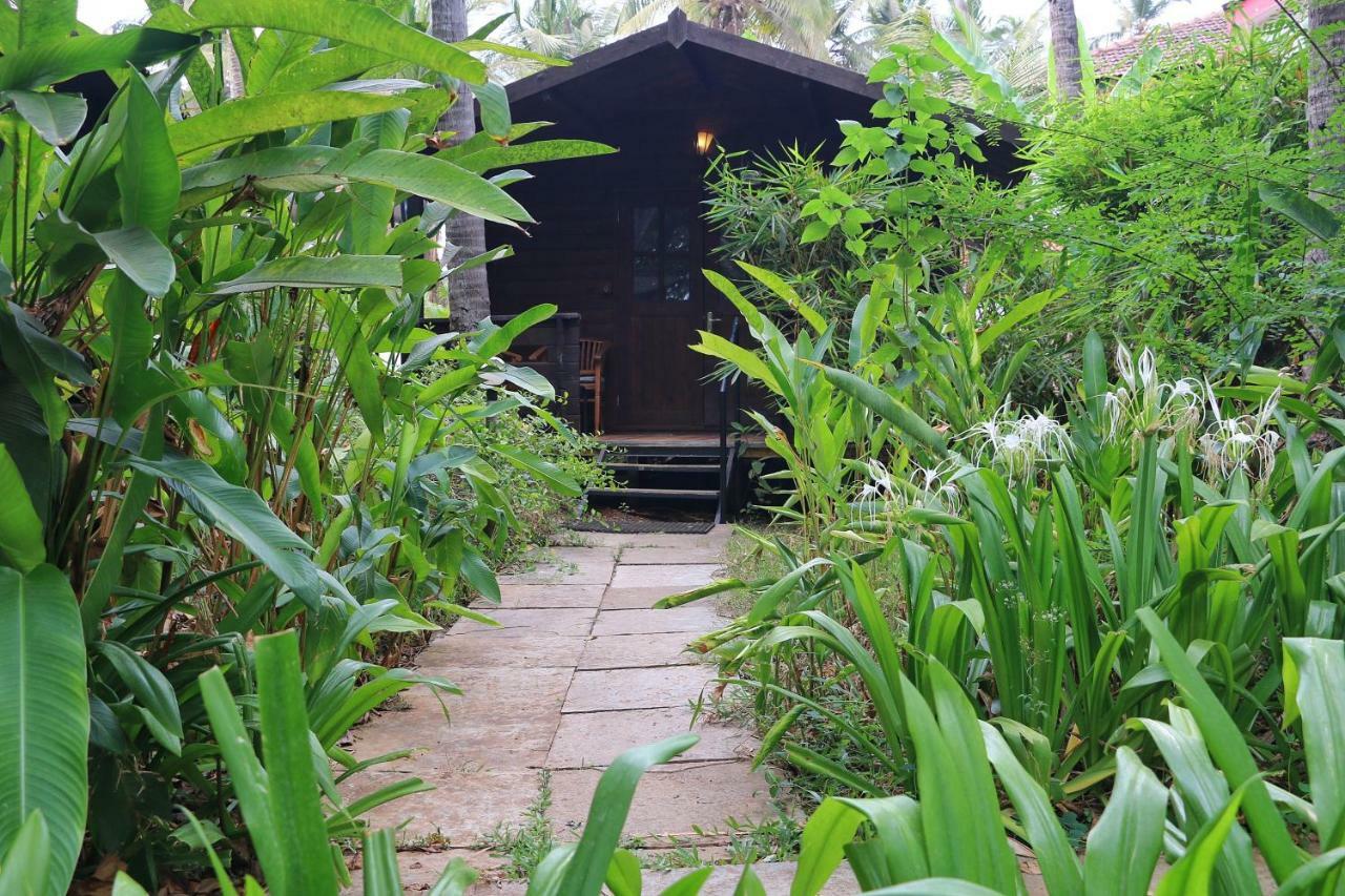 सहारा Montego Bay Village - 3*